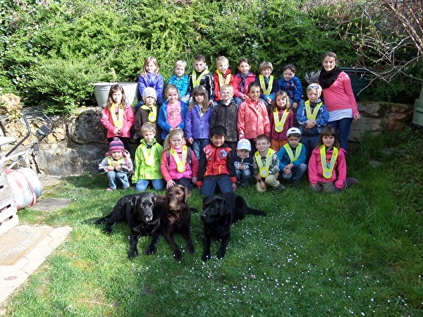 Kindergarten Pfeffingen zu Besuch bei den Labradorwelpen