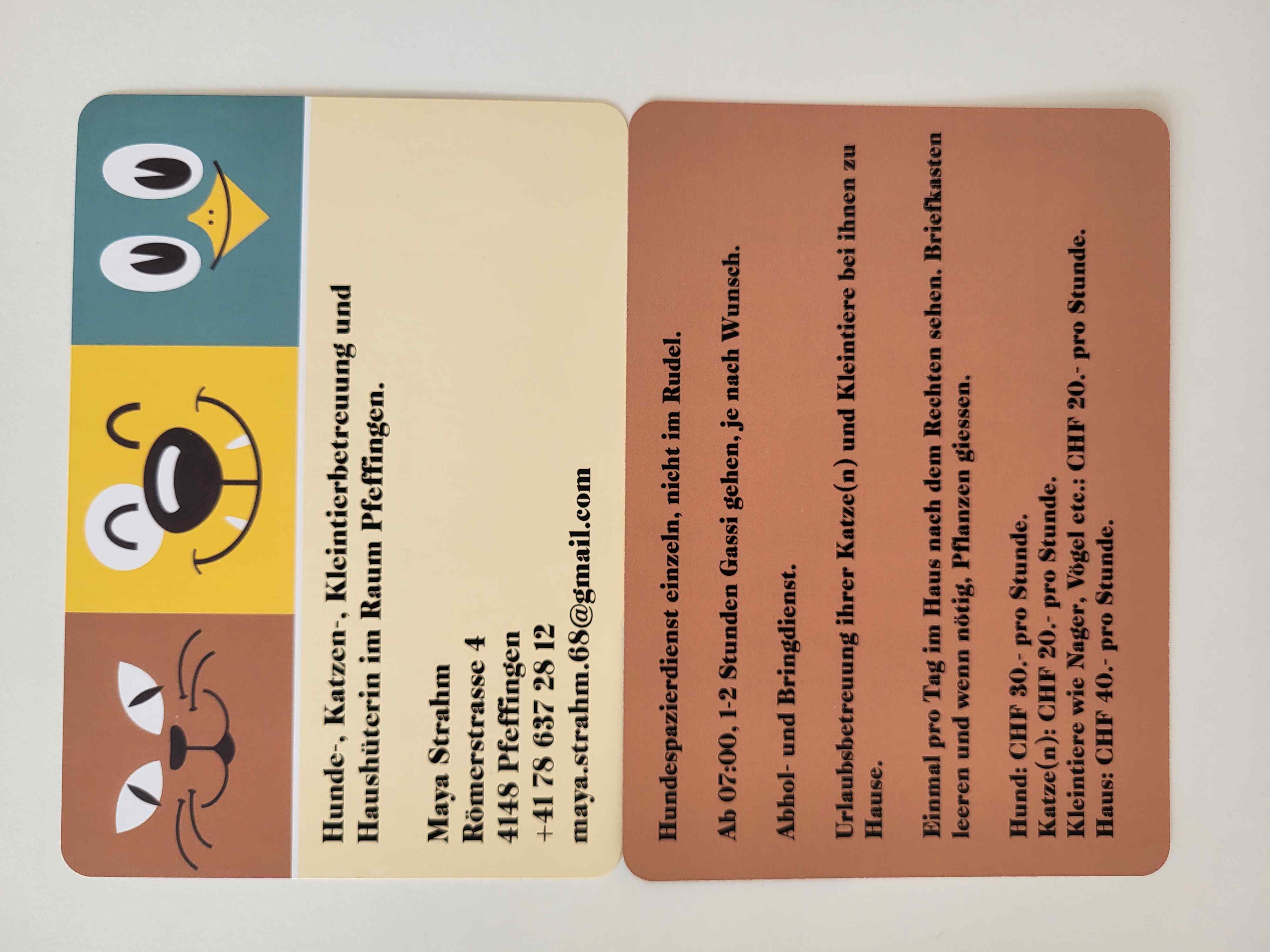 Flyer