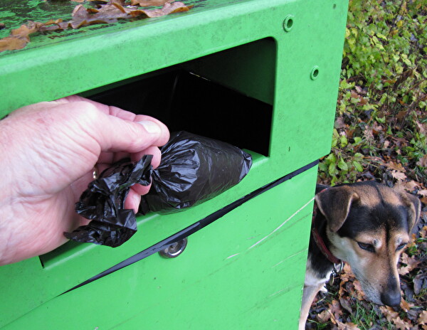 Hinweisschild Hundekot
