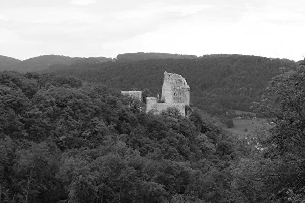 Blick auf die Ruine Pfeffingen