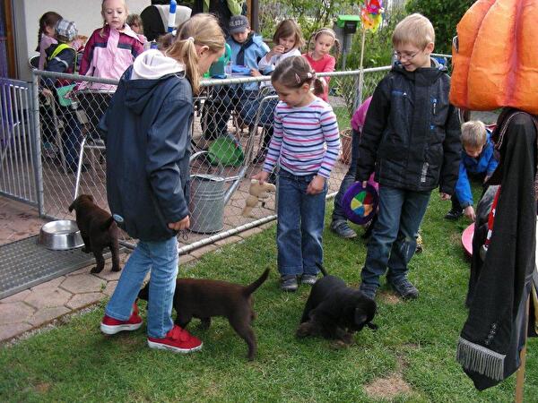 Welpenbesuch im Kindergarten von Frau Farronato