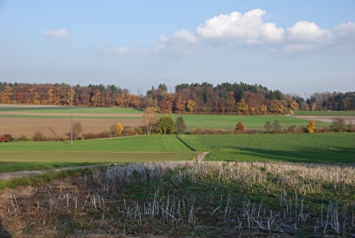 Geländekammer Feldmoos