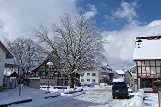 Winter in Niederhasli