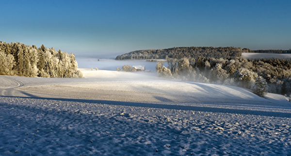 Winterbild
