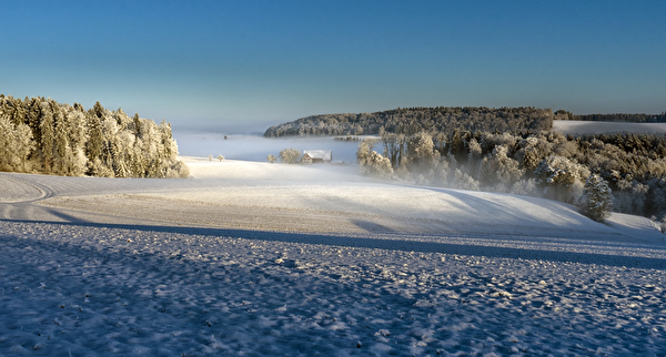 Winterbild