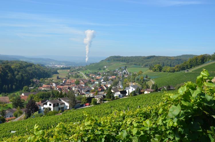 Tegerfelden