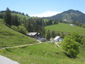 Montlinger Schwamm