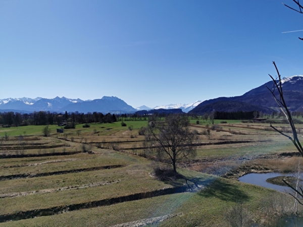 Naturschutzgebiet Bannriet-Spitzmäder