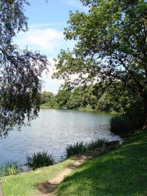 Wichensteinersee