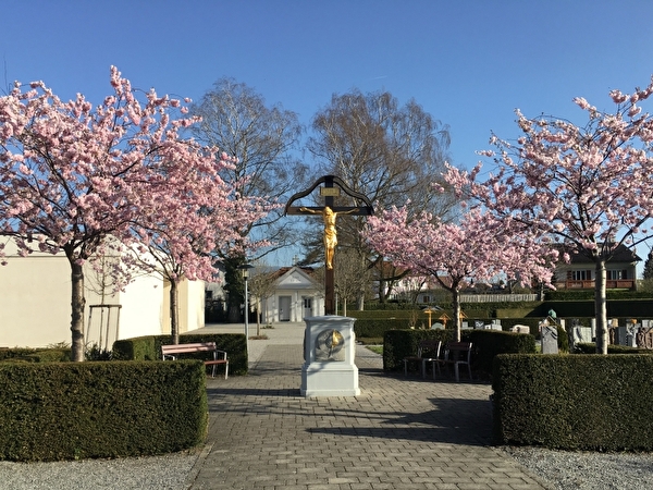 Friedhof Oberriet