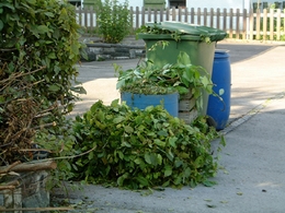 Grünabfälle