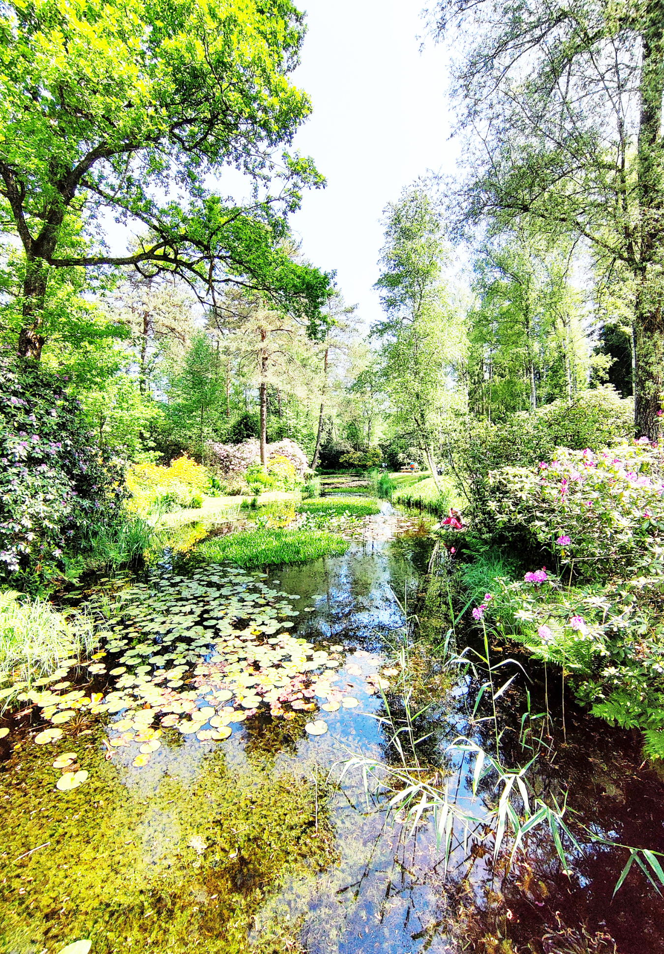 Landschaft in Rifferswil
