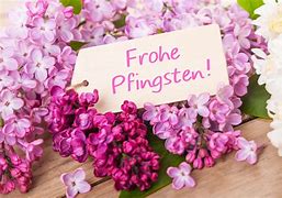 rosa Blumen mit Wünschen frohe Pfingsten