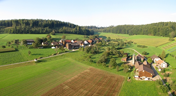 Weiler