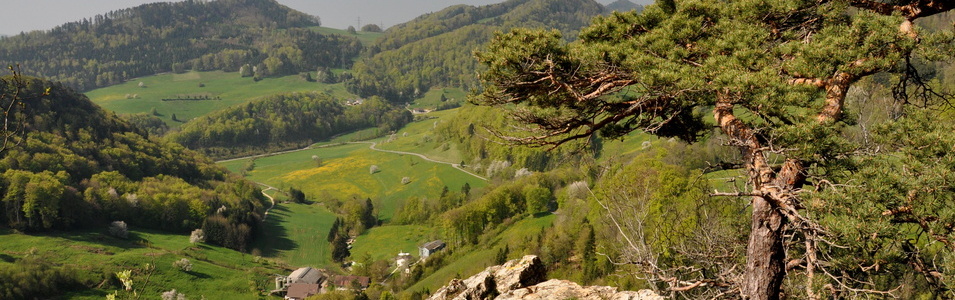 Jurapark Aargau