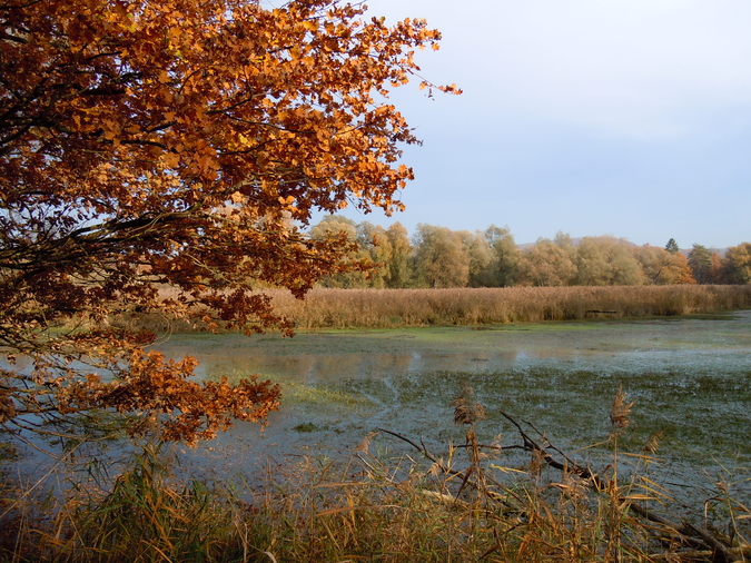 Naturschutzgebiet