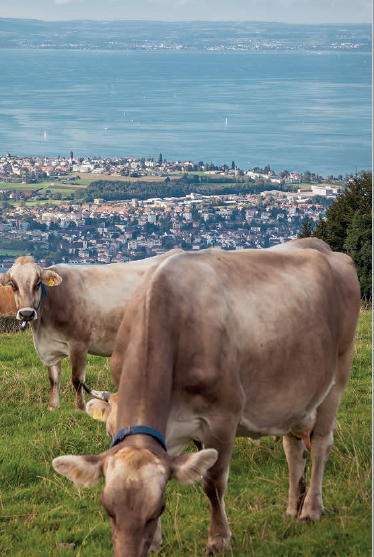 Symbolfoto Wandern