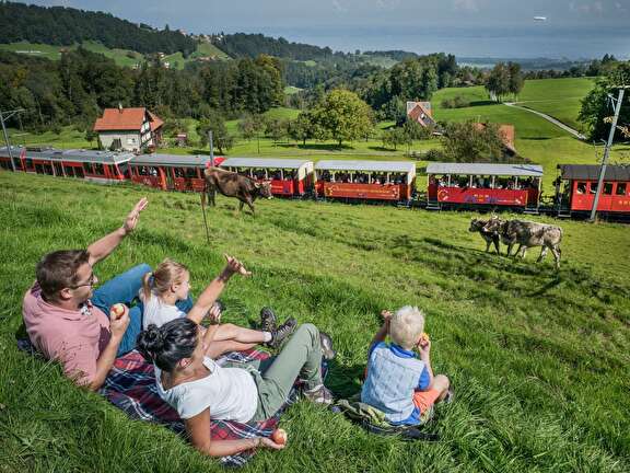 Foto Heidenerbahn