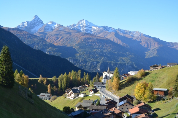 Davos Wiesen im Morgenlicht