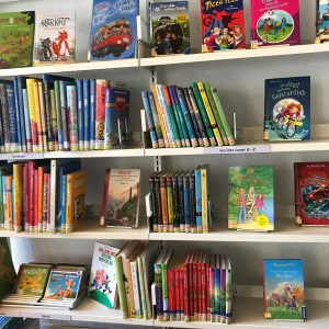 Bücherregal mit Kinderbüchern