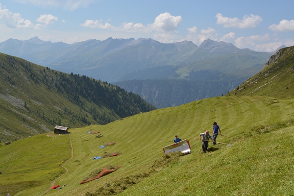 Berglandwirtschaft