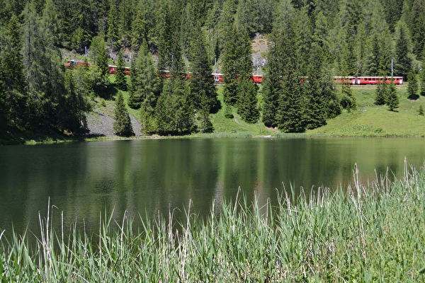 Die Rhätische Bahn beim Schwarzsee in Davos Laret