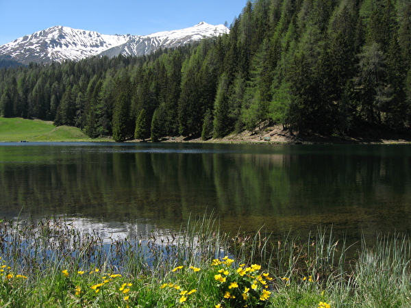 Der Schwarzsee im Laret: Idyllischer Ort der Ruhe und der Natur