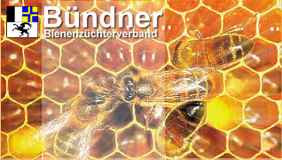 Bündner Bienenzüchterverband Logo