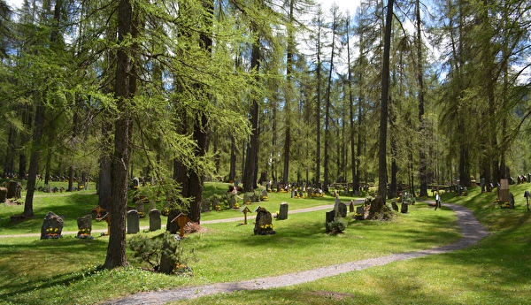 Grabfelder und Wege auf dem Waldfriedhof