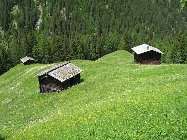In den Wiesen unterhalb Dadvos Monstein