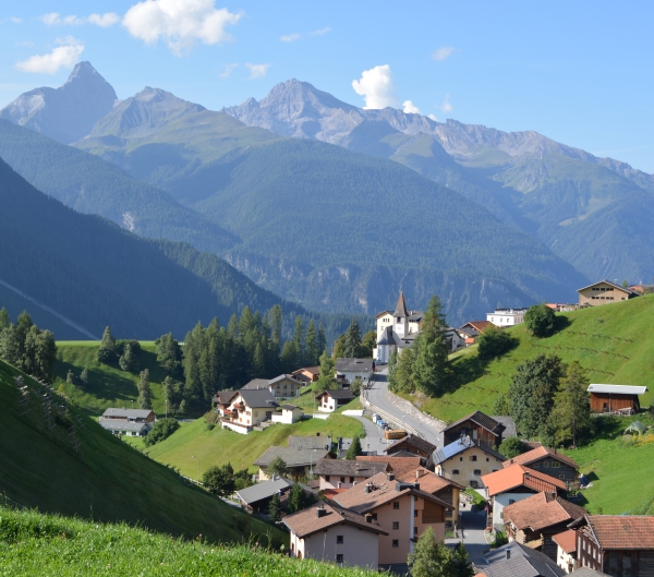 Davos Wiesen im Albulatal