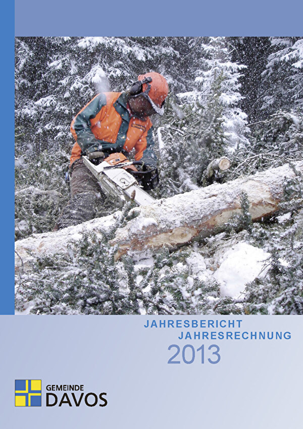 Jahresbericht 2013