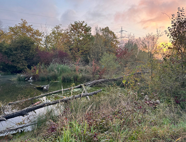 Landschaft Dübendorf