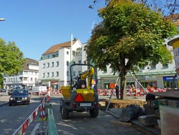 Kastanienbaum Lindenplatz
