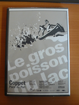 Jaquette du DVD Le gros poisson du lac