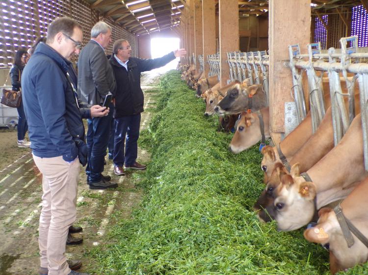 Visite de la ferme et de la fromagerie Gaborit à Maulévrier.