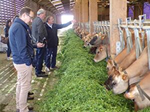 Visite de la ferme et de la fromagerie Gaborit à Maulévrier.