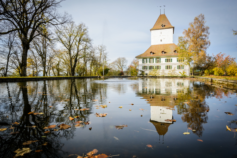 Schloss Wyl