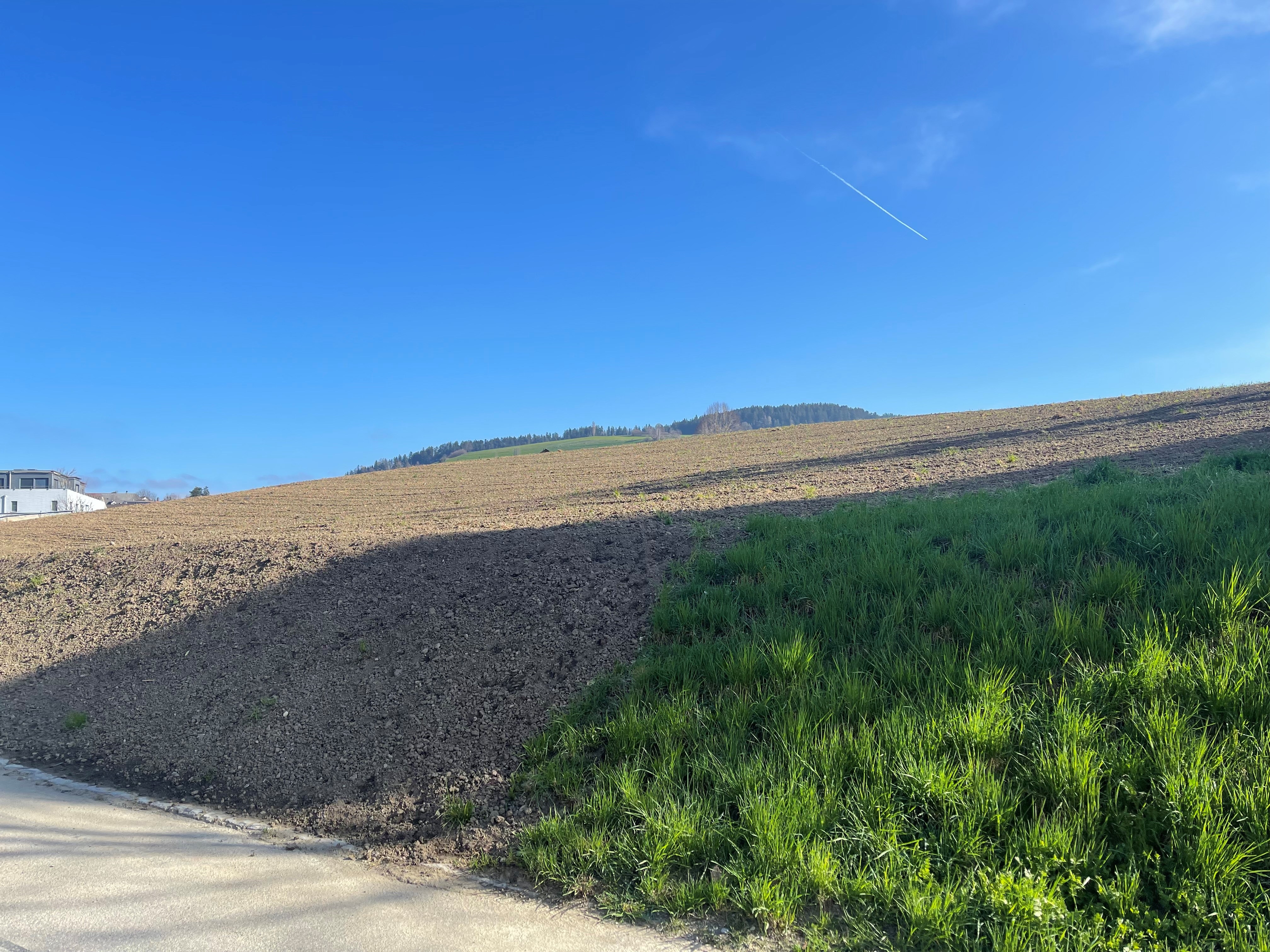 Landwiederherstellung