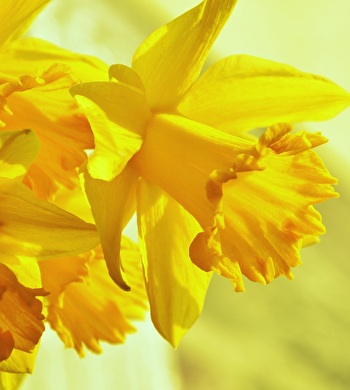 Ostern