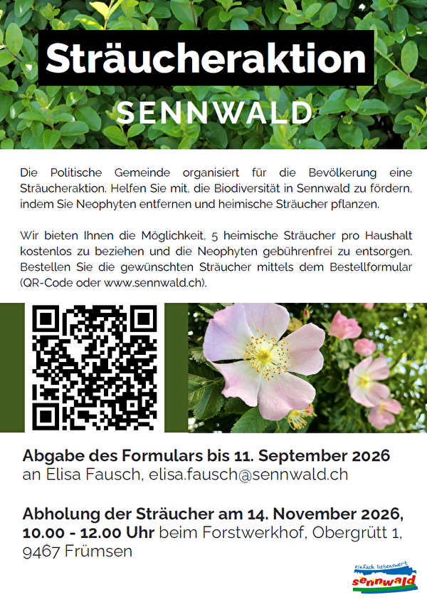 Sträucher