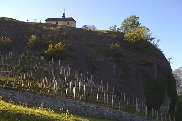 Reben an der Porta Romana mit Kapelle St. Georg