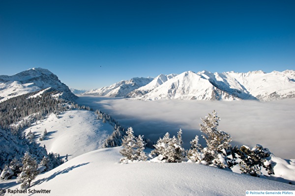 Winterliches Bild mit Nebelmeer