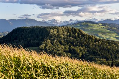 Unterwegs im Alter