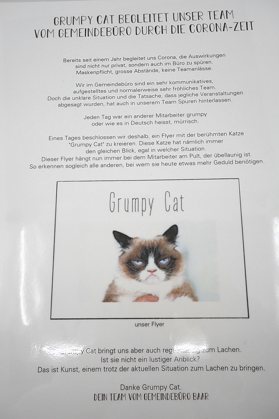 Werktitel: "Grumpy Cat"
Das Objekt bringt uns immer wieder zum Lachen. Jede*r Mitarbeiter*in des Gemeindebüros Baar hat eine eigene Definition von Kunst, jedoch bringt uns Grumpy Cat – auch in dieser schwierigen Situation – immer wieder zum Lachen: Das ist doch auch Kunst, oder?