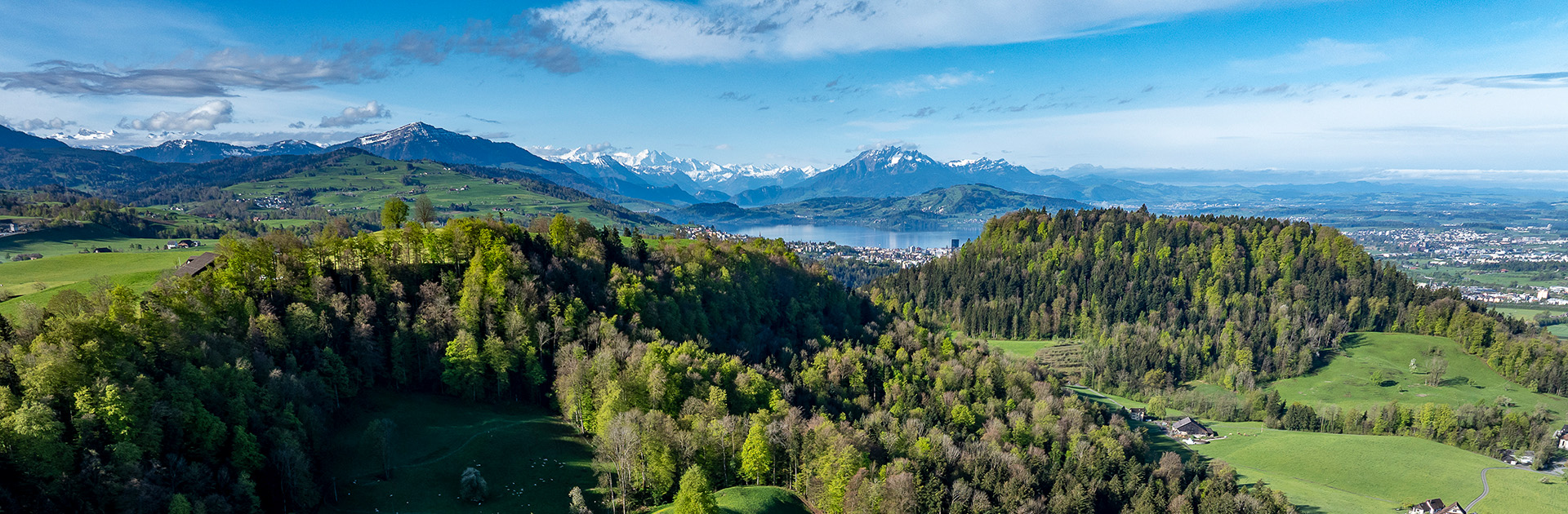 Frühling
