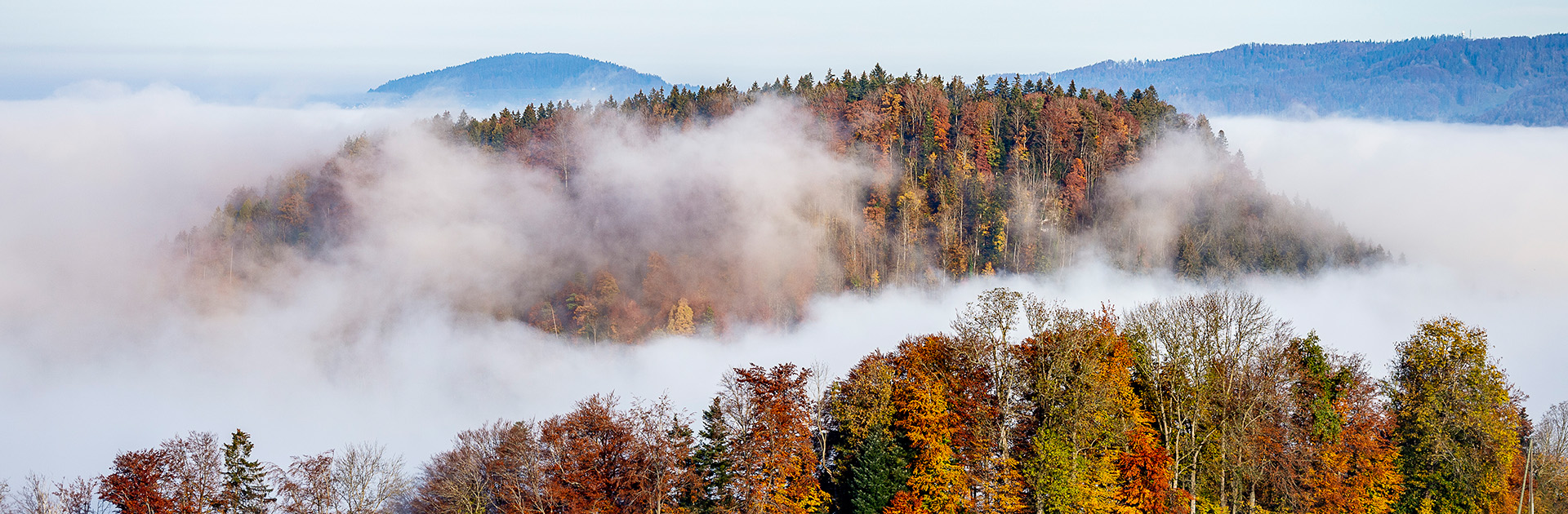 Baarburg im Herbst