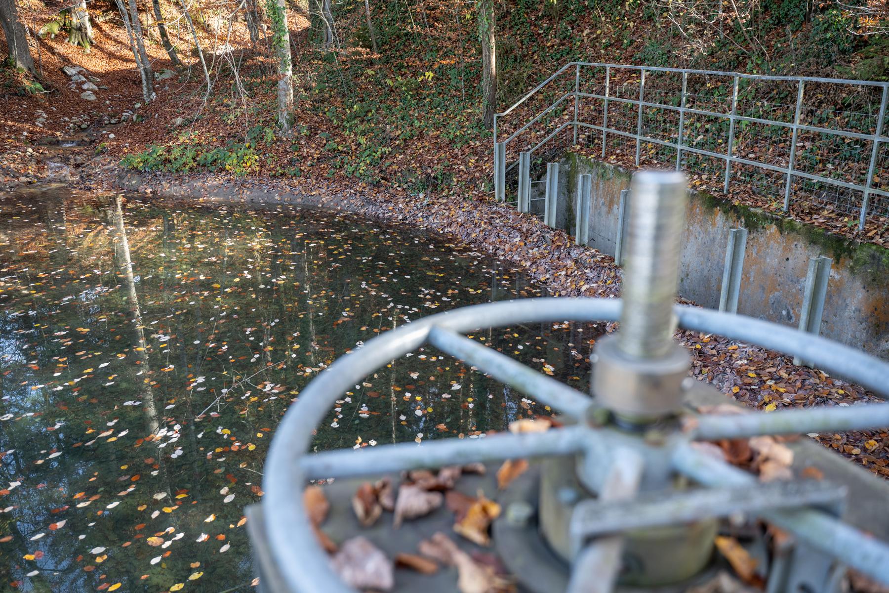 Geschiebesammler Moosbach Inwil