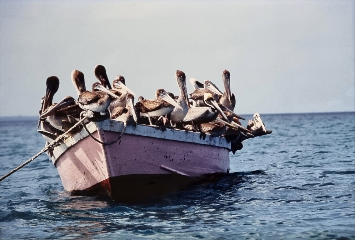herausgepickt – symbolträchtige Schiffsdarstellungen – Fotografie von Willy Dossenbach