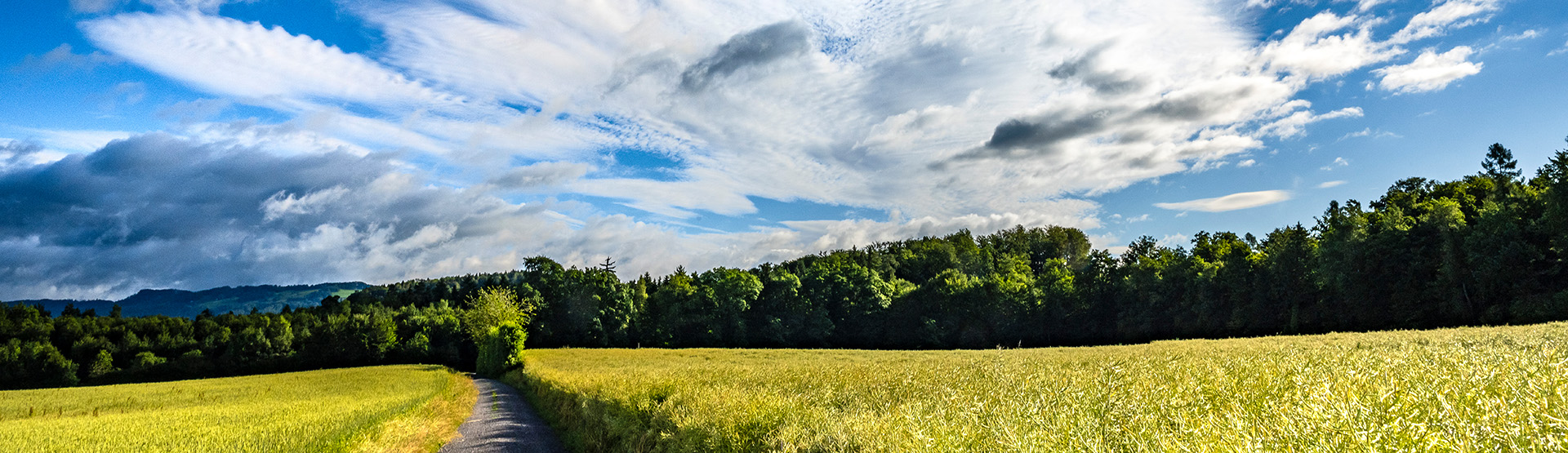 Landschaft Oberallmig